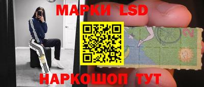 гидра Кандалакша
