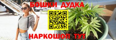 гидра Кандалакша
