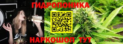 ПСИЛОЦИБИНОВЫЕ ГРИБЫ Канаш
