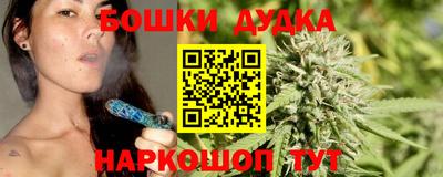гидра Кандалакша