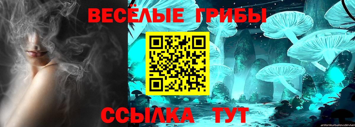 купить   Вход с VPN  Юрга  Псилоцибиновые грибы Psilocybine cubensis 